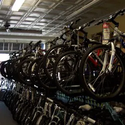 Dan's Bike Shop Picture 9