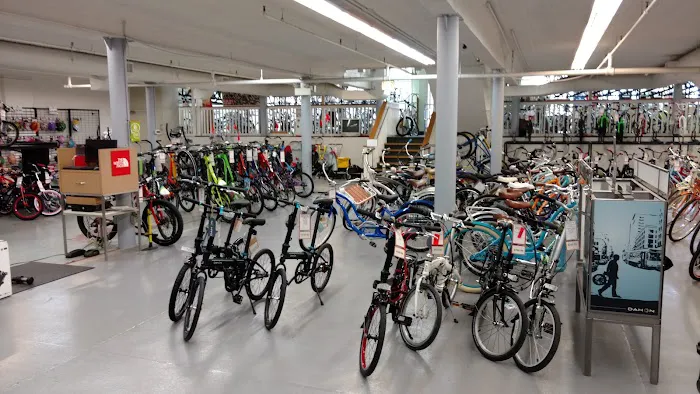 Kozy's Cyclery Megastore Picture 2