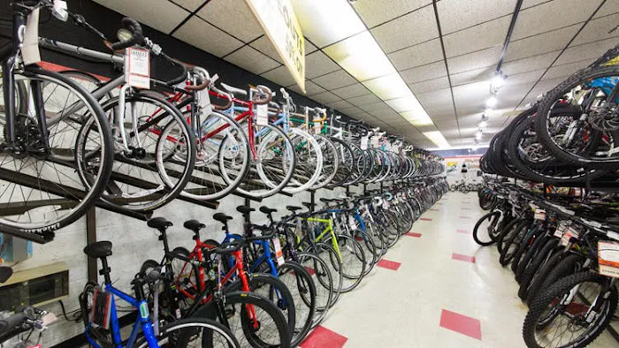 Kozy's Cyclery Megastore Picture 4