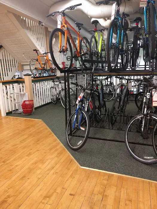 Kozy's Cyclery Megastore Picture 5
