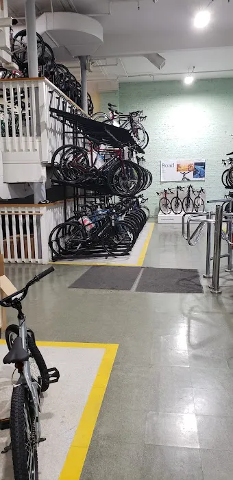 Kozy's Cyclery Megastore Picture 7
