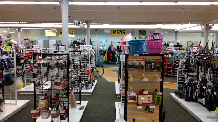 Kozy's Cyclery Megastore Picture 9