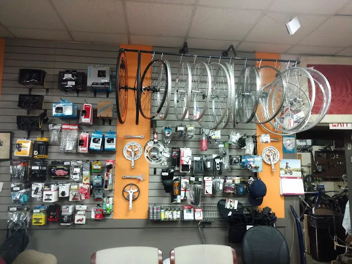 Bacardi Bikes Picture 2