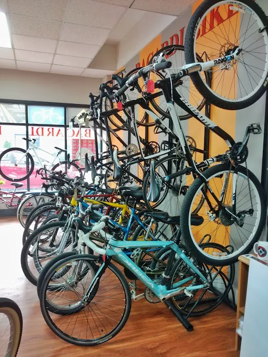 Bacardi Bikes Picture 5