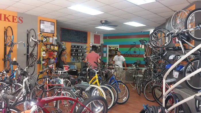 Bacardi Bikes Picture 8