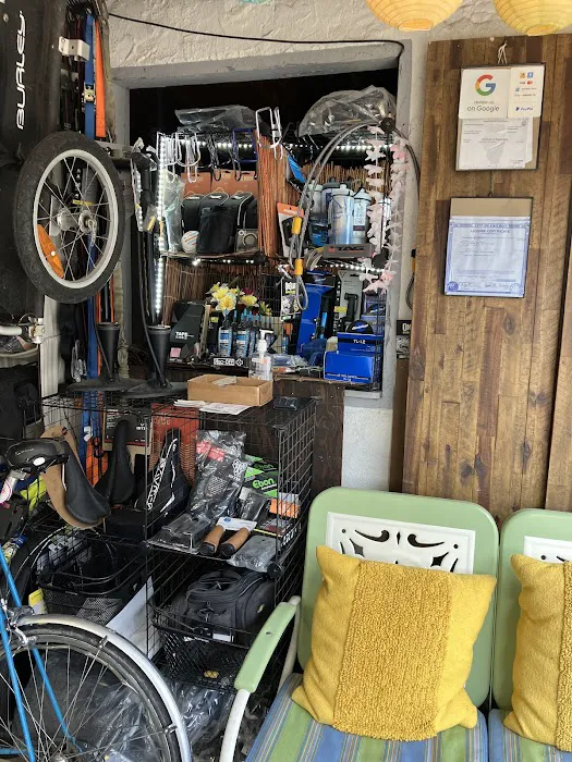 Andersonville Bike Repair Picture 3