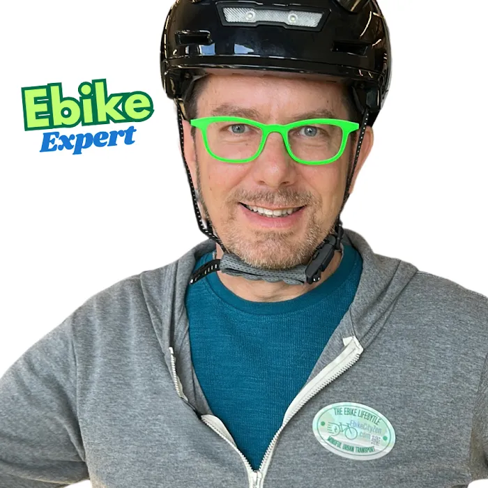 EbikeCityZen Picture 3