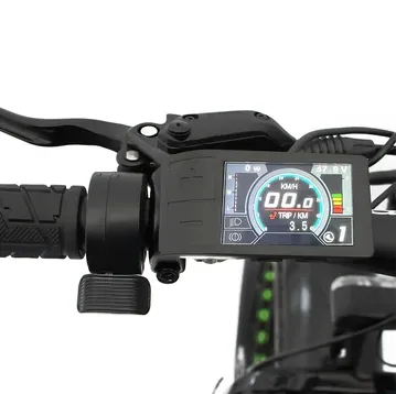EbikeCityZen Picture 6