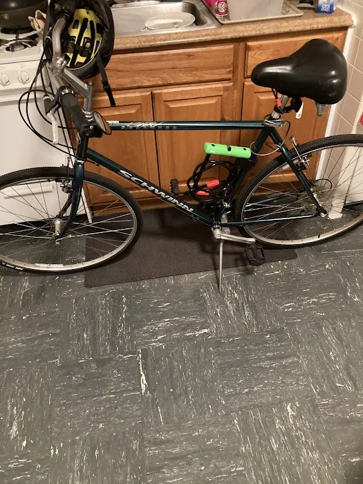 Igor Does My Bike Picture 5