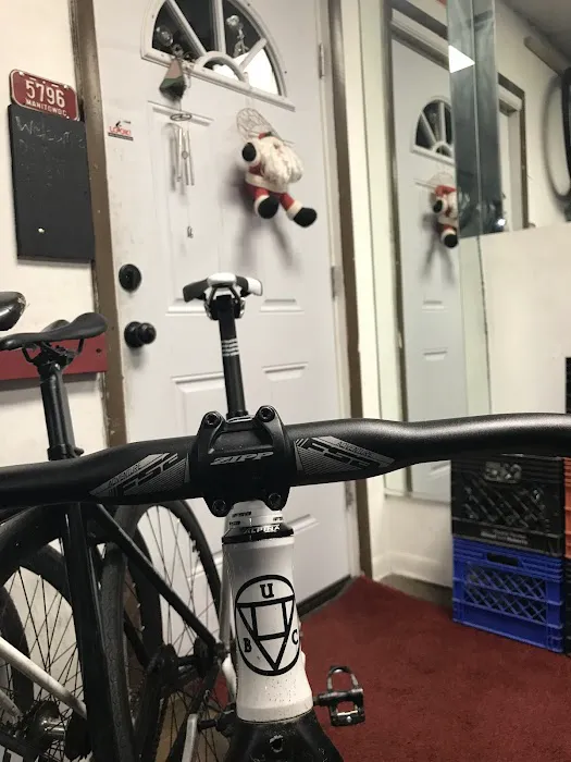 DS Bicycles Picture 3