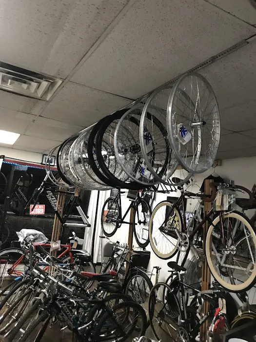 DS Bicycles Picture 5