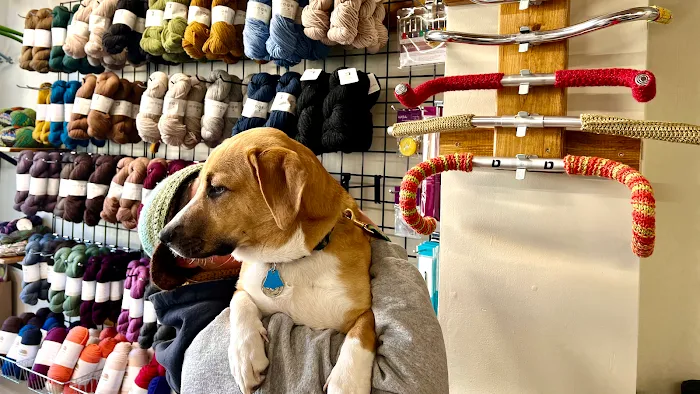 Cog Cycles and Yarns Picture 1