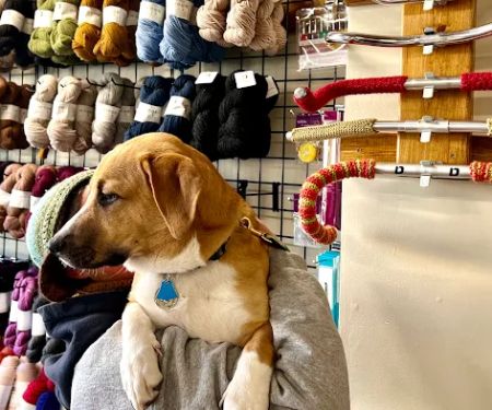 Cog Cycles and Yarns