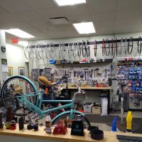 The Wheel Thing ico