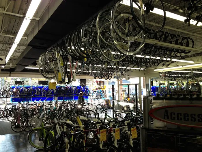 Richards Bicycles Picture 8