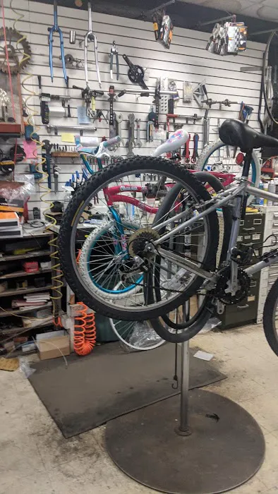Orland Park Cyclery Picture 3