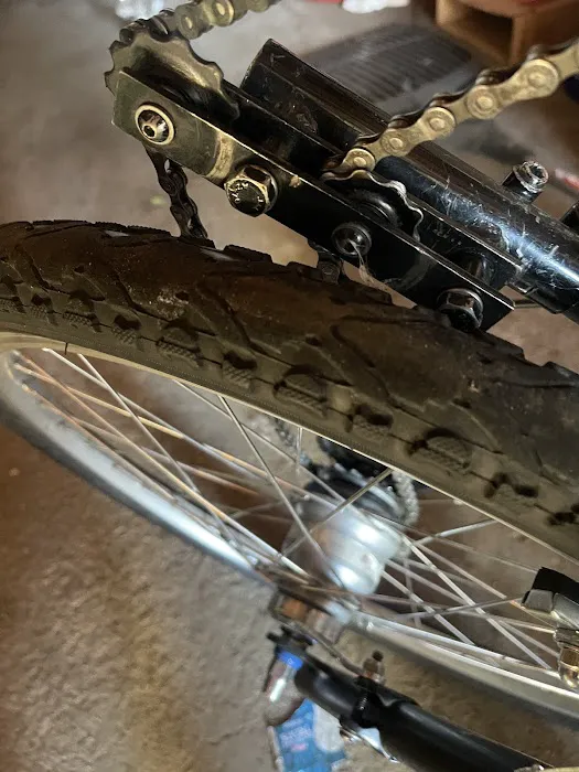 Orland Park Cyclery Picture 8