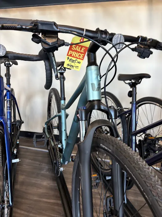 Still Ride Bike Shop Picture 1