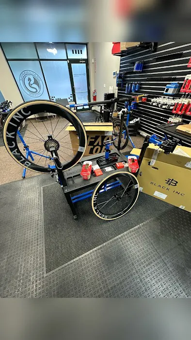 Dragonspine Cycling Picture 6