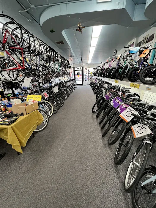 Rudy's Cycle and Fitness Picture 6