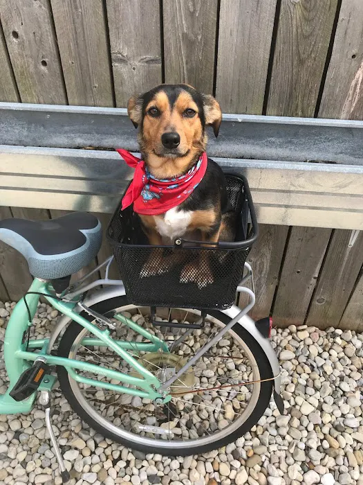 Rudy's Cycle and Fitness Picture 9