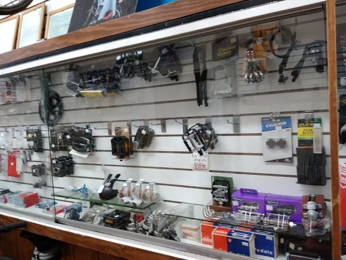 Roberts Cycle Bike Shop Picture 3