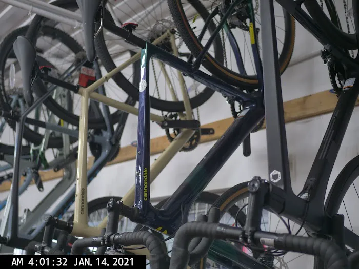 The Great Little Bike Shop Picture 7