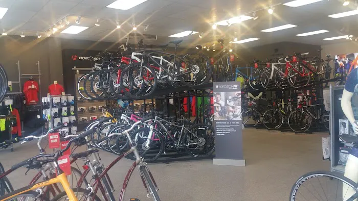 Trek Bicycle Picture 9