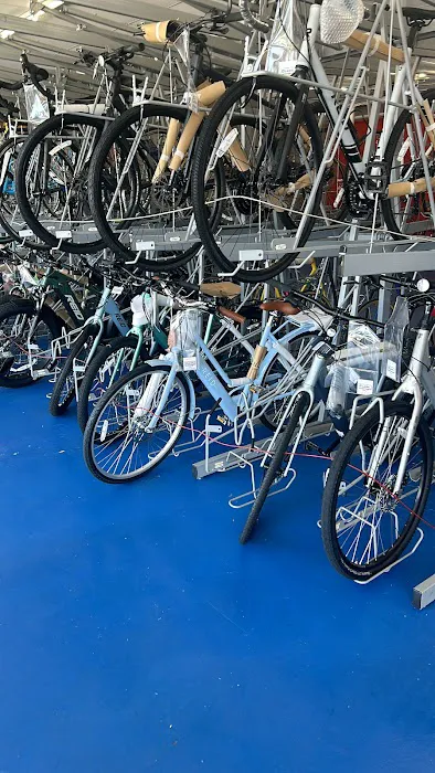 Clark Cycle Picture 3