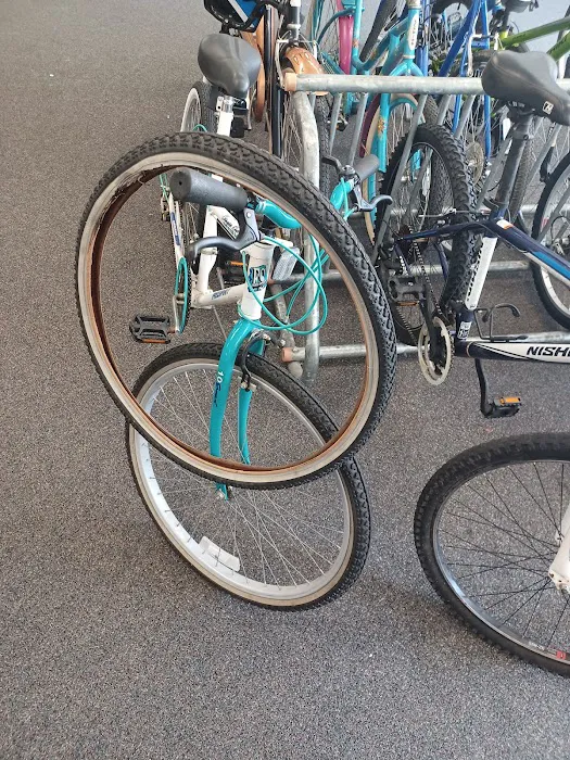 Ridge Cyclery Picture 9