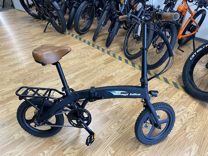 Next E-Bikes Picture 2