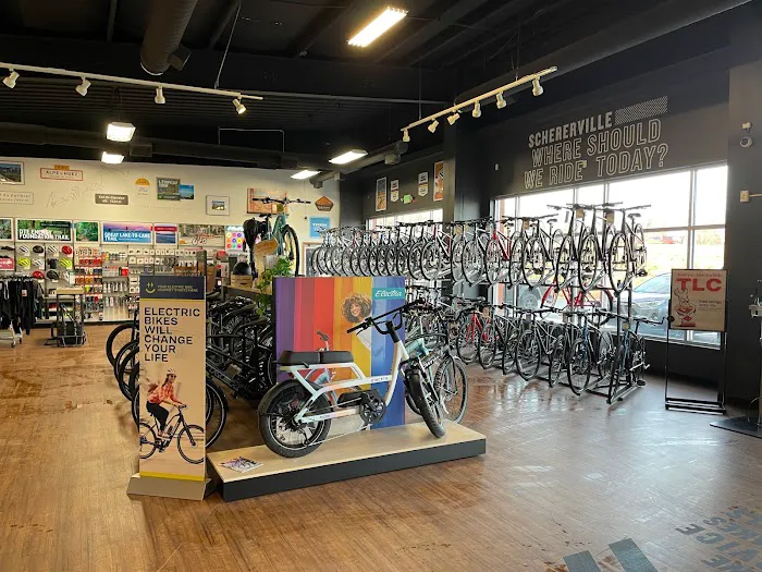 Trek Bicycle Schererville Picture 5