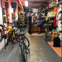 Bucephalus Bikes ico