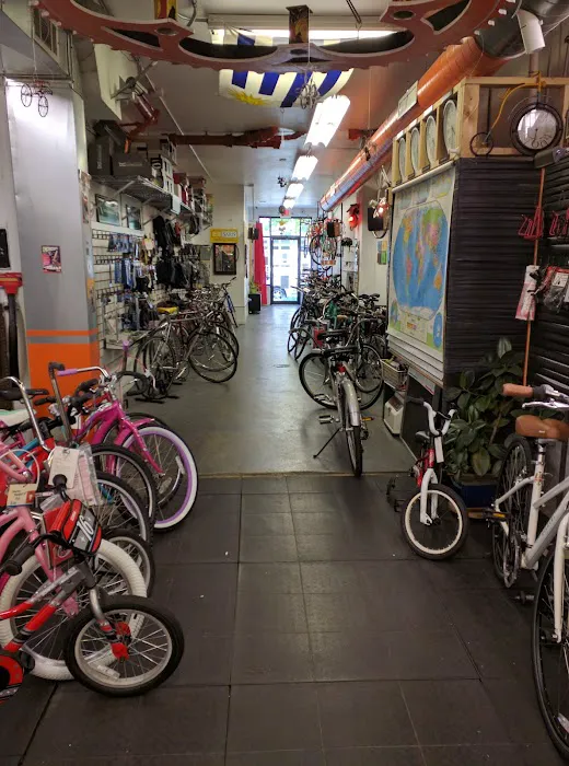 Bucephalus Bikes Picture 2