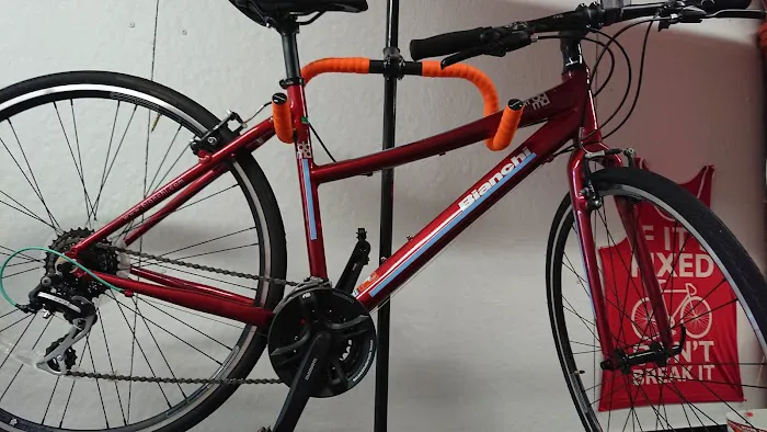 Bucephalus Bikes Picture 5