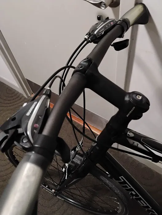Bucephalus Bikes Picture 10