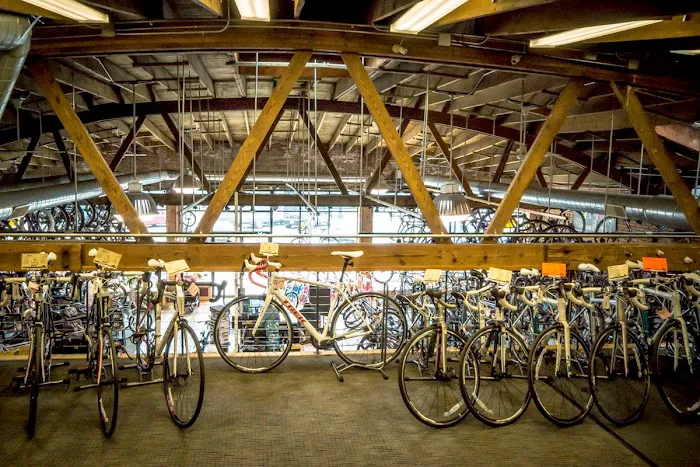 Wheel & Sprocket Picture 8