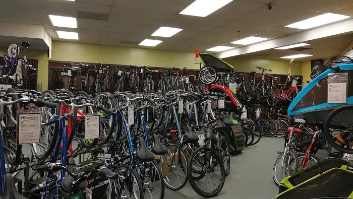Bicycles Etc. Picture 2