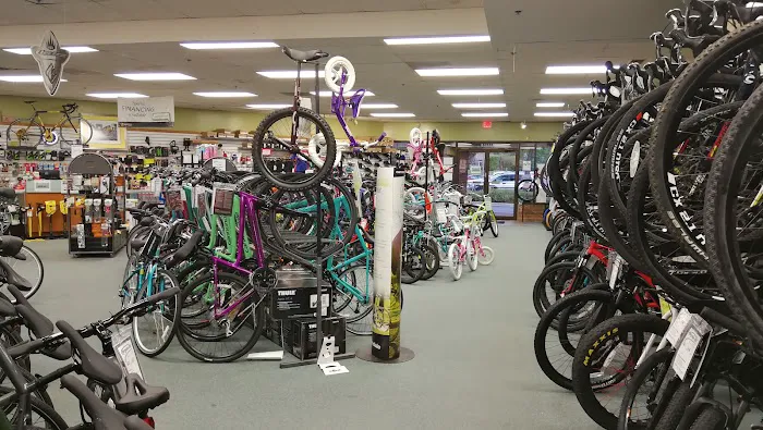 Bicycles Etc. Picture 3