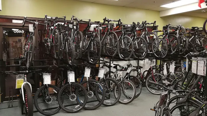 Bicycles Etc. Picture 6