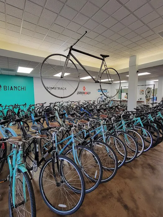 Recycled Cycling Bike Shop Picture 5