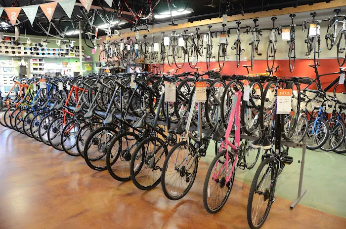 Prairie Path Cycles Picture 8