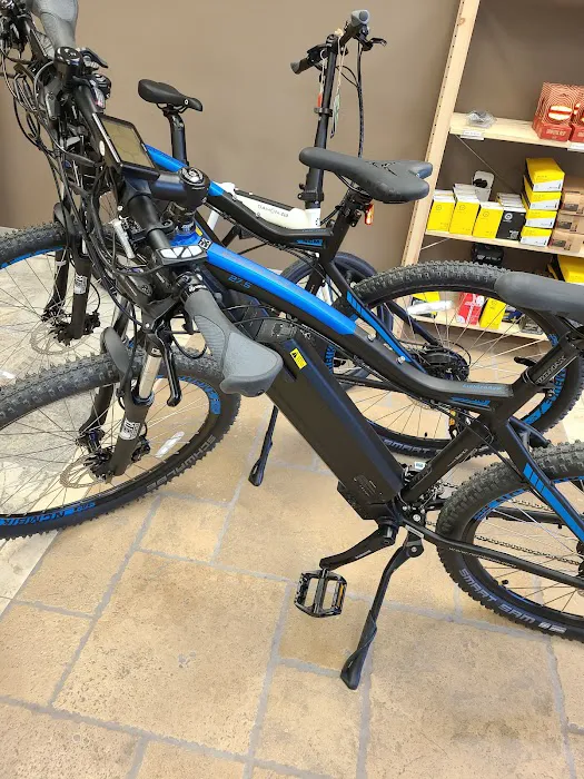 Revolution E-Bikes Picture 5