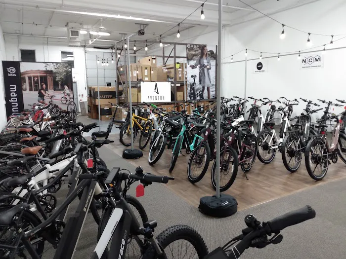 Revolution E-Bikes Picture 4