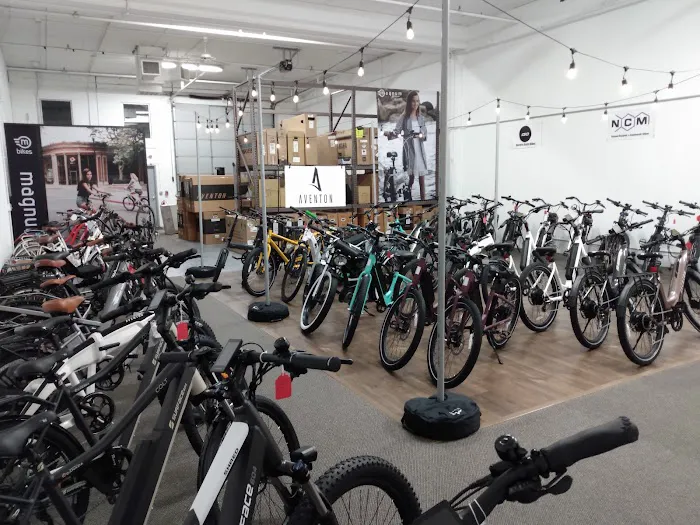 Revolution E-Bikes Picture 6