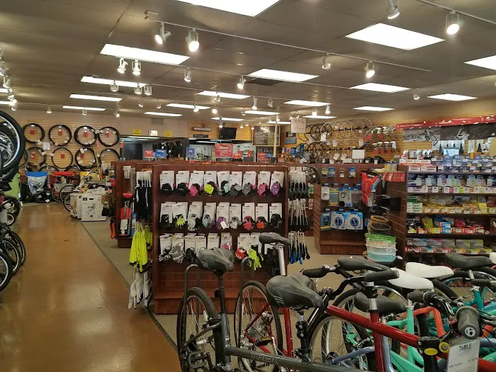 7 Mile Cycles Picture 2
