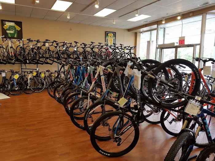7 Mile Cycles Picture 3