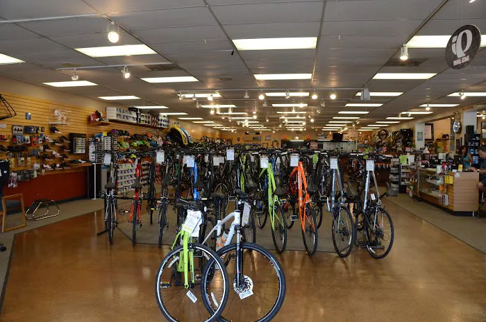 7 Mile Cycles Picture 9