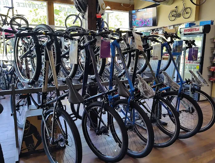 Trailblazers Bike Barn Picture 4