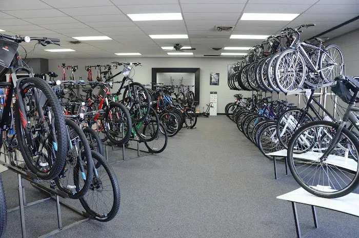 Sumbaum Cycle Picture 2
